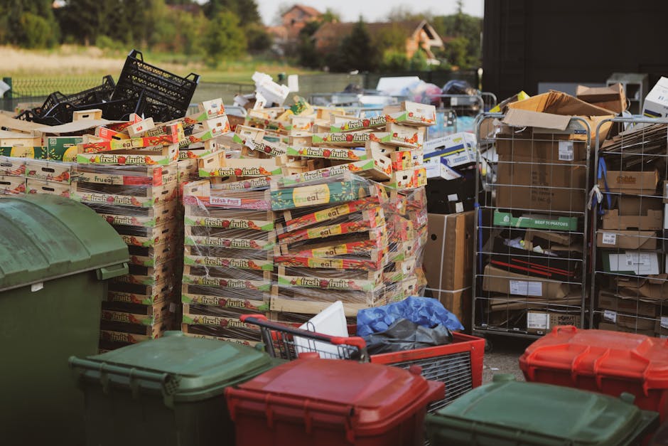 A large outdoor scene showing numerous stacks of cardboard fruit crate boxes, primarily decorated with fruit labels such as 'fresh fruits', arranged on a paved surface. To the left, there are several green and red wheelie bins with closed lids, positioned in the foreground. Behind the stacks, there are metal wire storage cages filled with various cardboard boxes, some sealed and others partially open, containing miscellaneous packaging. A black plastic crate is placed on top of one of the stacks, and a blue plastic bag is seen amongst the clutter. The background features a rural setting with green trees, a grass field, and a residential house with a pitched roof, under a clear daylight sky. The scene appears to be an organized outdoor waste or recycling collection area, representing a situation where bulk waste or cardboard for collection is prepared for disposal or removal, closely aligning with private rubbish removal services.